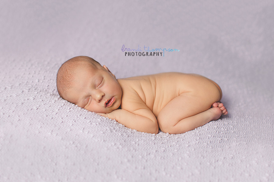 plano newborn photographer