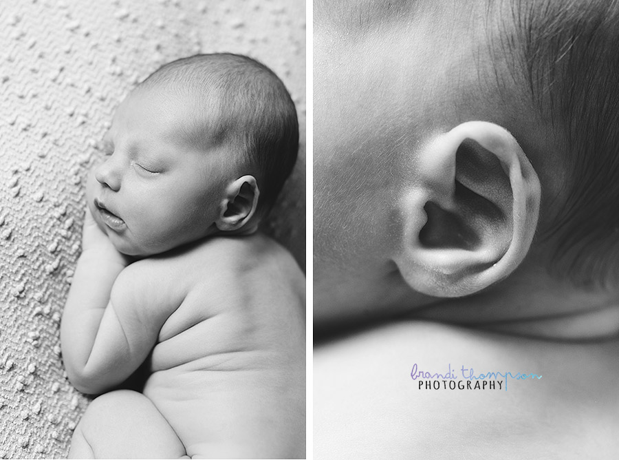 plano newborn photographer