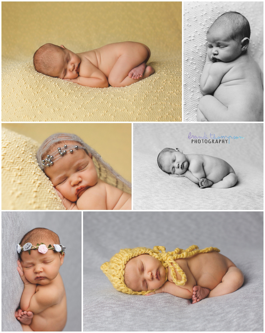 plano newborn photography studio