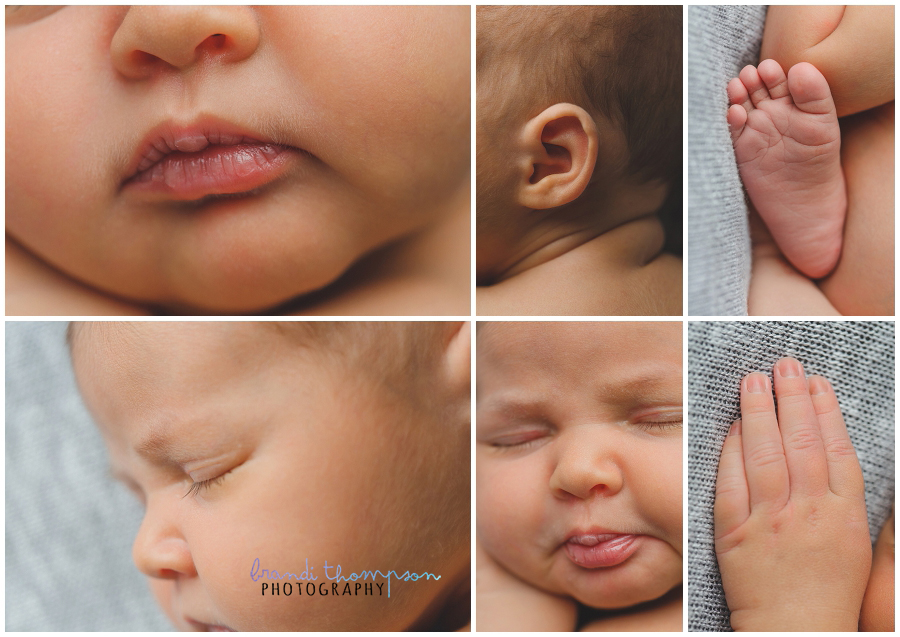 plano newborn photography studio