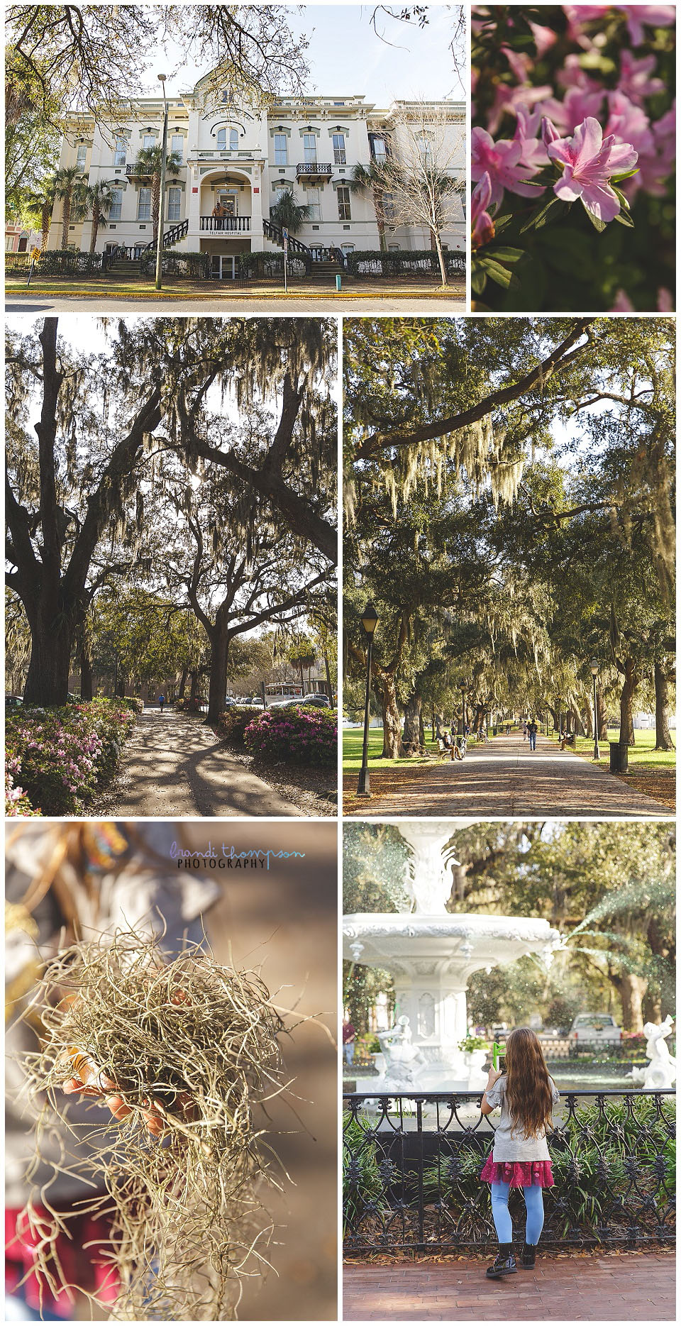 travel photos of savannah, GA