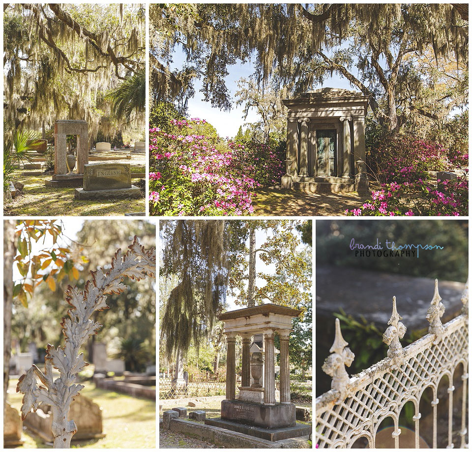 travel photos of savannah, GA, bonaventure cemetery