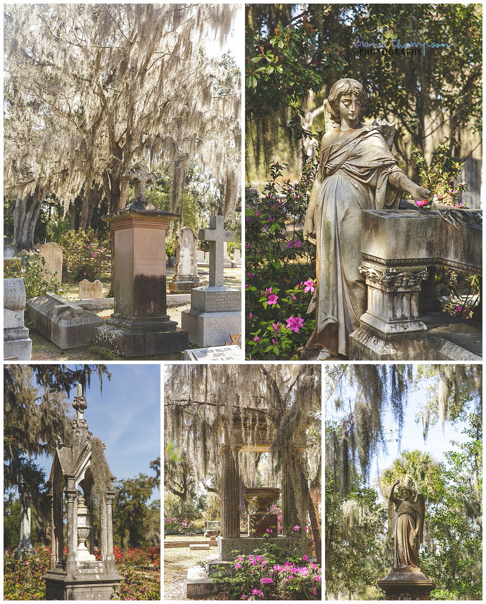 travel photos of savannah, GA, bonaventure cemetery