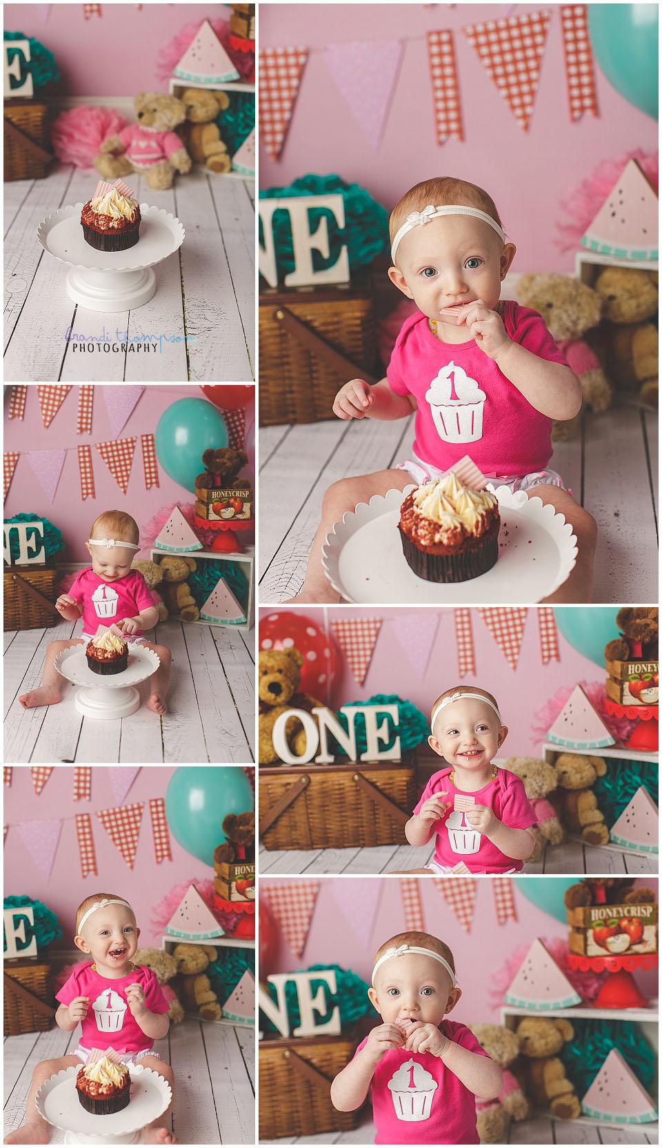 pink and red teddy bear picnic cake smash for baby girl in plano studio