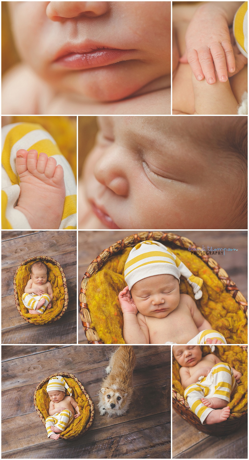 plano newborn photographer, harry potter newborn photos