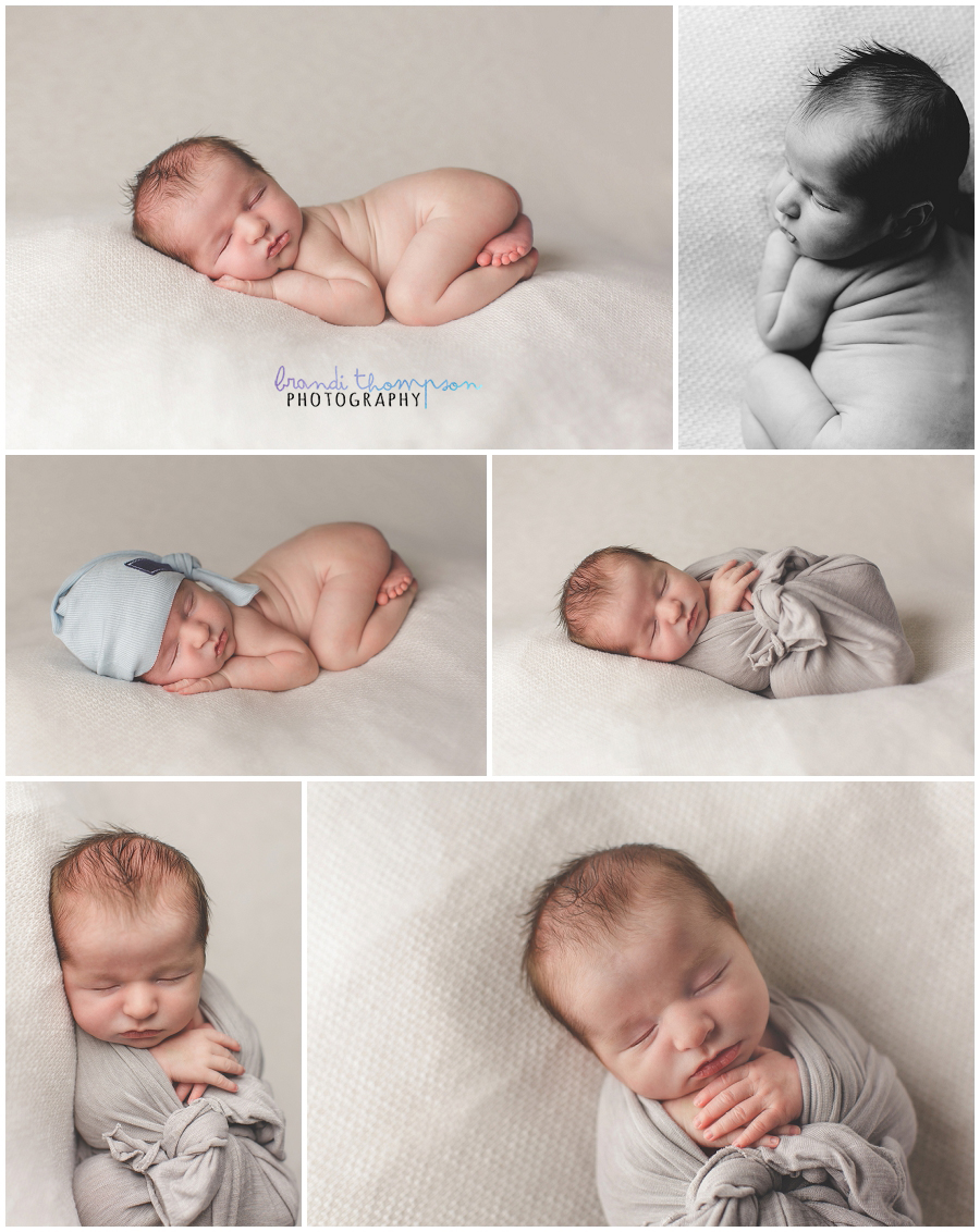 plano newborn photography studio