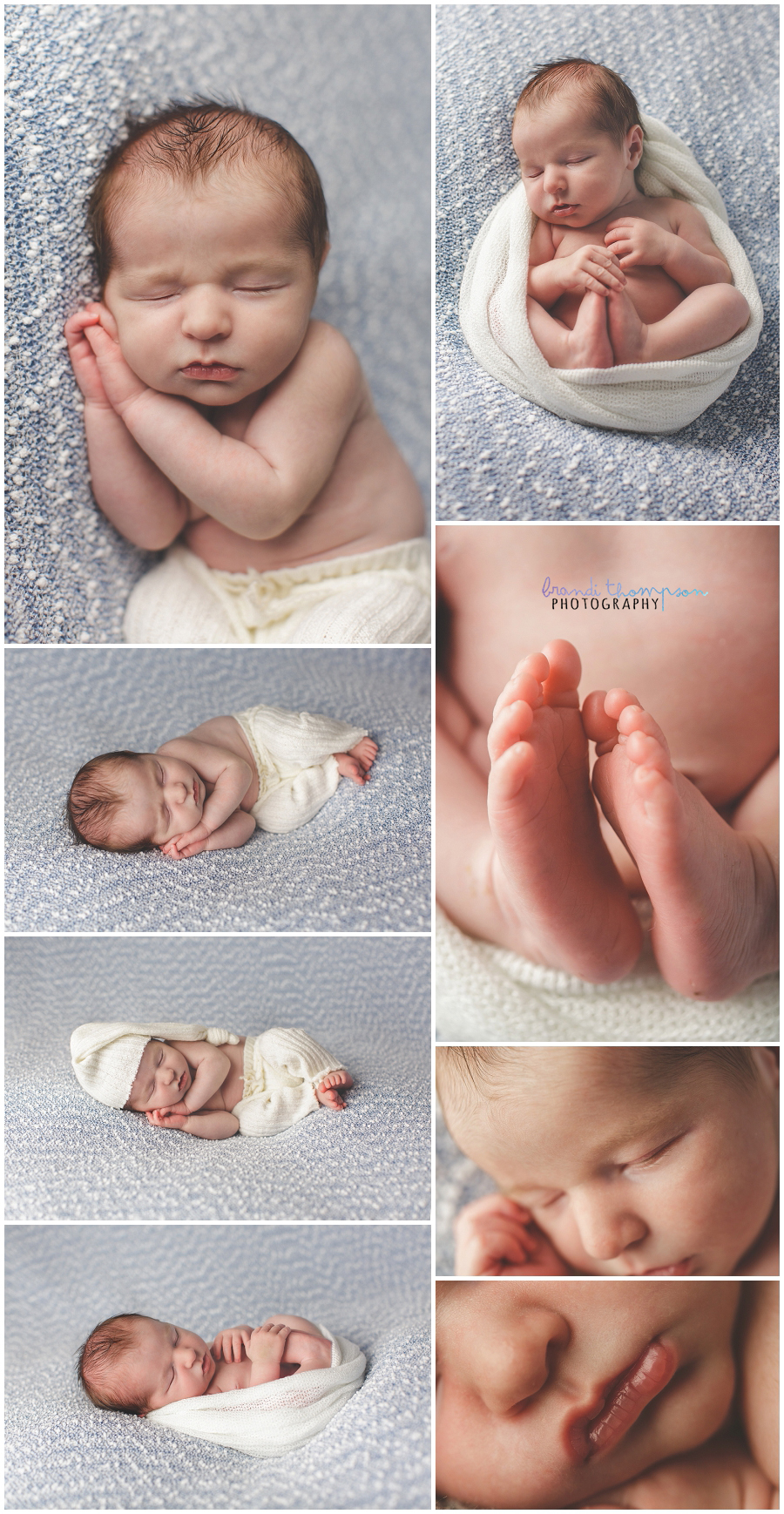 plano newborn photography studio