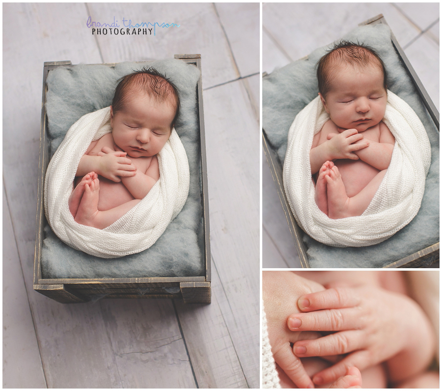 plano newborn photography studio