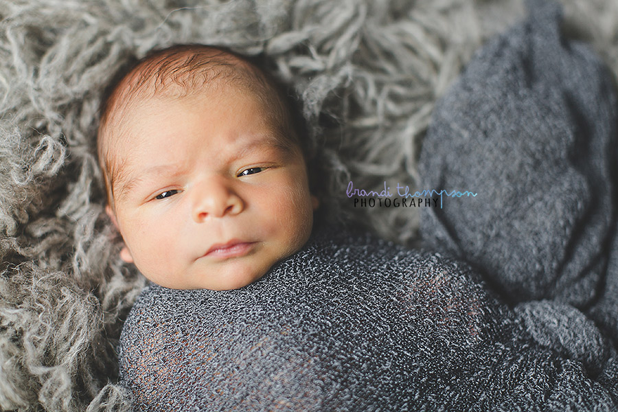 plano newborn photography