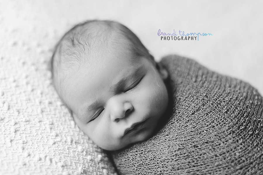 plano newborn photography