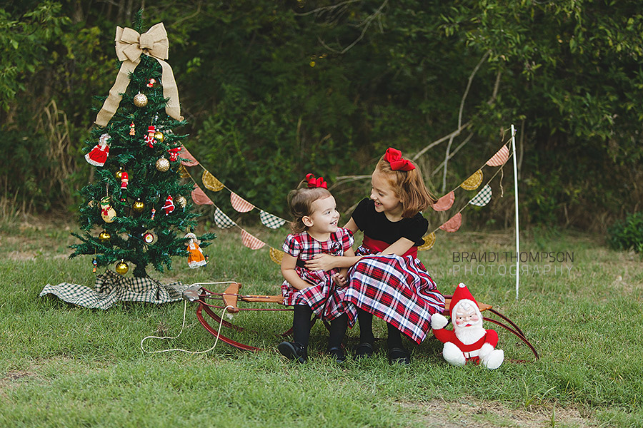 plano holiday christmas mini sessions