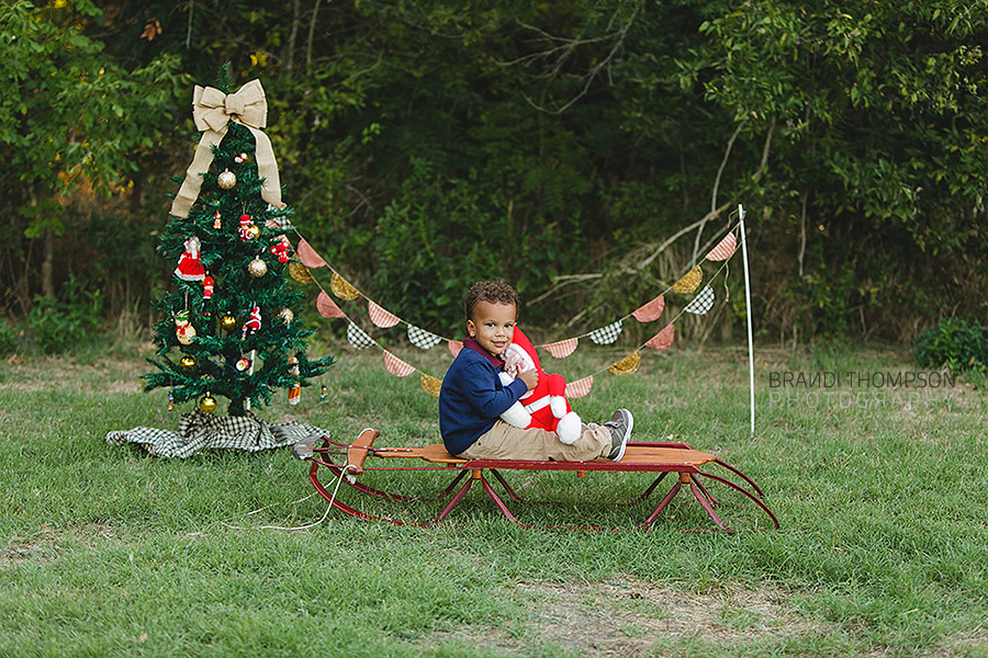 2014 Plano holiday christmas mini sessions