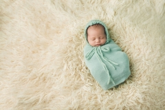 Plano Frisco The Colony Newborn Photographer